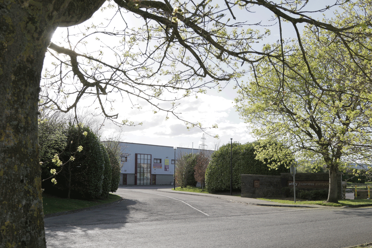 flinter-flooring-athy